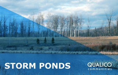 Thumbnail for Storm Ponds - what are they for?